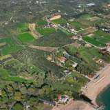  For Sale - (€ 0 / m2), Agricultural 30000 m2 Messini 8156833 thumb9