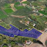  For Sale - (€ 0 / m2), Agricultural 30000 m2 Messini 8156833 thumb4