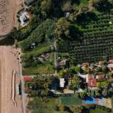  For Sale - (€ 0 / m2), Agricultural 30000 m2 Messini 8156833 thumb2