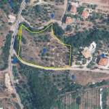  For Sale - (€ 0 / m2), Agricultural 6100 m2 Petalidi 8156836 thumb1
