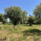  For Sale - (€ 0 / m2), Agricultural 6100 m2 Petalidi 8156836 thumb7