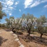  For Sale - (€ 0 / m2), Agricultural 13524 m2 Trikeri 6057563 thumb2