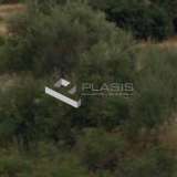  (For Sale) Land Plot || East Attica/Koropi - 9.000 Sq.m, 300.000€ Athens 7557646 thumb0