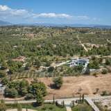  For Sale - (€ 0 / m2), Agricultural 4025 m2 Kranidi 8157706 thumb8