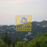  (For Sale) Land Plot || East Attica/Dionysos - 790Sq.m, 330.000€ Dionysos 4758265 thumb1