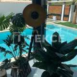  Fristående Lyx Villor med Pool i Torrevieja Costa Blanca Alicante 8158032 thumb8