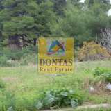  (For Sale) Land Plot || East Attica/Dionysos - 1.500Sq.m, 680.000€ Dionysos 4758448 thumb0