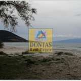  (For Sale) Land Plot || Cyclades/Naxos-Drymalia - 7.275 Sq.m, 480.000€ Naxos - Drimalia 7758684 thumb1