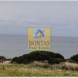  (For Sale) Land Plot || Cyclades/Naxos-Drymalia - 7.275 Sq.m, 480.000€ Naxos - Drimalia 7758684 thumb8