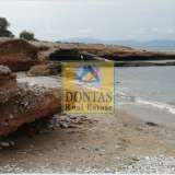  (Προς Πώληση) Αξιοποιήσιμη Γη Οικόπεδο || Κυκλάδες/Νάξος-Δρυμαλία - 7.275 τ.μ, 480.000€ Naxos - Drimalia 7758684 thumb2