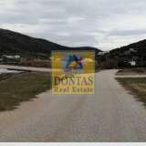  (For Sale) Land Plot || Cyclades/Naxos-Drymalia - 7.275 Sq.m, 480.000€ Naxos - Drimalia 7758684 thumb7