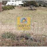  (For Sale) Land Plot || Cyclades/Naxos-Drymalia - 7.275 Sq.m, 480.000€ Naxos - Drimalia 7758684 thumb6