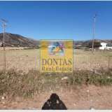  (For Sale) Land Plot || Cyclades/Naxos-Drymalia - 7.275 Sq.m, 480.000€ Naxos - Drimalia 7758684 thumb5