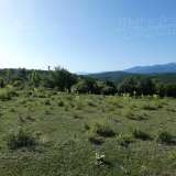  Large plot of land near the town of Kostenets near Borovets Ochusha village 5158879 thumb1