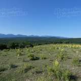  Large plot of land near the town of Kostenets near Borovets Ochusha village 5158879 thumb2