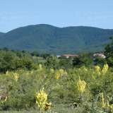  Large plot of land near the town of Kostenets near Borovets Ochusha village 5158879 thumb10