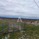  25,000m2 of land with house and vineyard, Podgorica Podgorica 8059223 thumb0