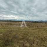  25,000m2 of land with house and vineyard, Podgorica Podgorica 8059223 thumb3
