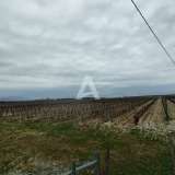  25,000m2 of land with house and vineyard, Podgorica Podgorica 8059223 thumb2