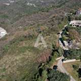  Plot of 4000m2 with a view of the sea and the town of Bečići-Ivanovici Bečići 8059226 thumb3
