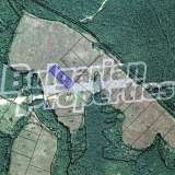  Agricultural land in the village of Golyamo Bukovo Sredets city 7759564 thumb2