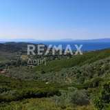  For Sale - (€ 0 / m2), Agricultural 8660 m2 Skiathos 7559787 thumb6