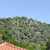  For Sale - (€ 0 / m2), Agricultural 8660 m2 Skiathos 7559787 thumb3