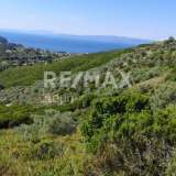  For Sale - (€ 0 / m2), Agricultural 8660 m2 Skiathos 7559787 thumb7