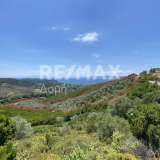 For Sale - (€ 0 / m2), Agricultural 8660 m2 Skiathos 7559787 thumb0