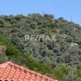  For Sale - (€ 0 / m2), Agricultural 8660 m2 Skiathos 7559787 thumb4
