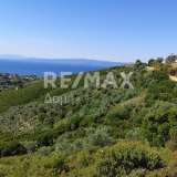  For Sale - (€ 0 / m2), Agricultural 8660 m2 Skiathos 7559787 thumb5