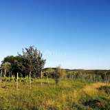  ISTRIA, BUJE - Terreno edificabile ai margini della zona edificabile, vista panoramica Buie 8206217 thumb10