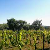  ISTRIA, BUJE - Building plot on the edge of the construction zone, panoramic view Buje 8206217 thumb7