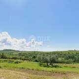  ISTRIA, BUJE - Building plot on the edge of the construction zone, panoramic view Buje 8206217 thumb2