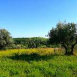  ISTRIA, BUJE - Building plot on the edge of the construction zone, panoramic view Buje 8206217 thumb4