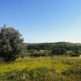 ISTRIA, BUJE - Building plot on the edge of the construction zone, panoramic view Buje 8206217 thumb5