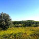  ISTRIA, BUJE - Building plot on the edge of the construction zone, panoramic view Buje 8206217 thumb8