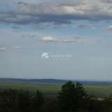  Рlot of land in the village of Panitsovo Panitsovo village 6406375 thumb5