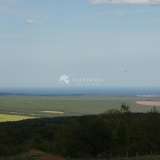  Рlot of land in the village of Panitsovo Panitsovo village 6406375 thumb8