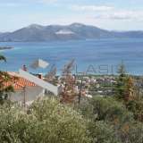  (For Sale) Residential Building || Evoia/Tamynes - 240 Sq.m, 6 Bedrooms, 520.000€ Tamines 7706666 thumb9
