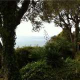   Roquebrune-Cap-Martin 1606701 thumb4