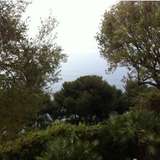   Roquebrune-Cap-Martin 1606701 thumb3