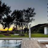  Villa mit Meerblick in Erstklassiger Lage von Benalmadena Benalmadena 8106763 thumb13