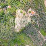  For Sale - (€ 0 / m2), Agricultural 4026 m2 Skiathos 8206823 thumb1