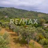  For Sale - (€ 0 / m2), Agricultural 4026 m2 Skiathos 8206823 thumb2
