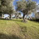  For Sale - (€ 0 / m2), Agricultural 4026 m2 Skiathos 8206823 thumb3