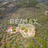  For Sale - (€ 0 / m2), Agricultural 4026 m2 Skiathos 8206823 thumb0