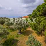  For Sale - (€ 0 / m2), Agricultural 4026 m2 Skiathos 8206823 thumb6