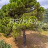  For Sale - (€ 0 / m2), Agricultural 4026 m2 Skiathos 8206823 thumb5