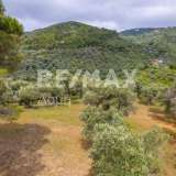  For Sale - (€ 0 / m2), Agricultural 4026 m2 Skiathos 8206823 thumb4